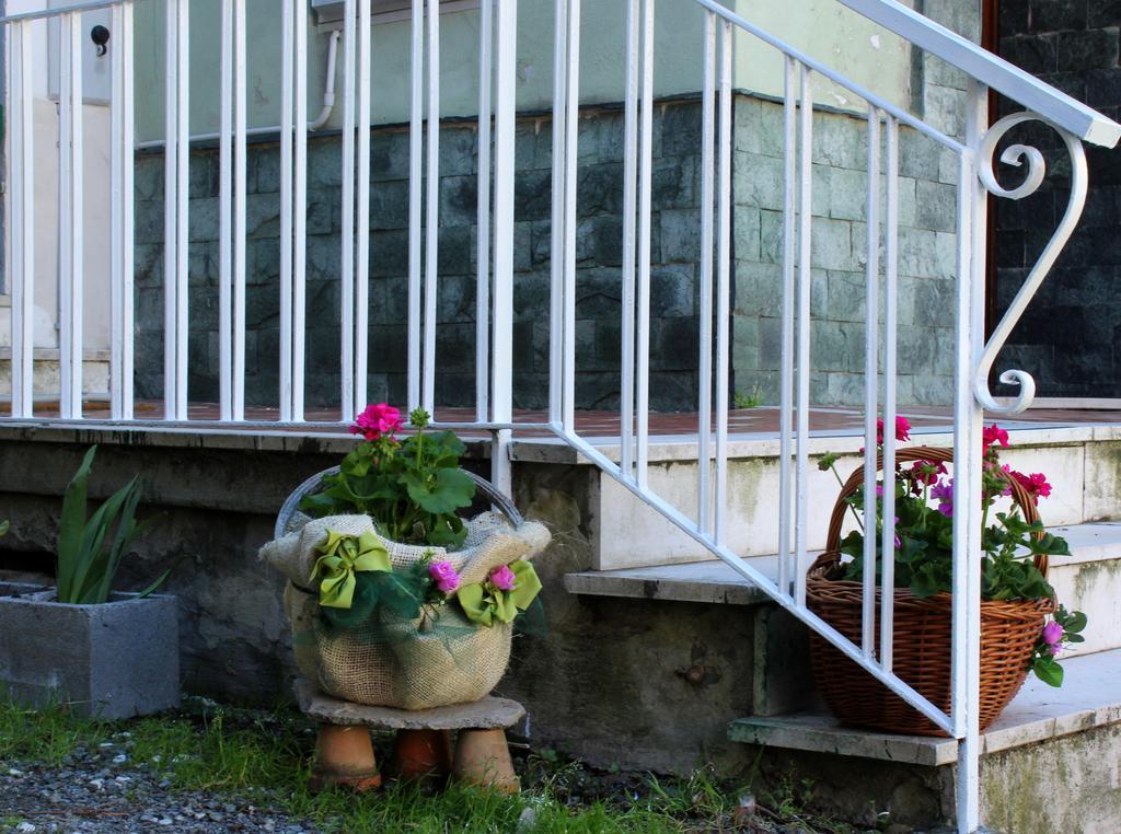 La Mia Casa Di Campagna Otel Rovieto Dış mekan fotoğraf