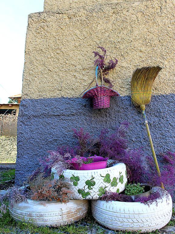 La Mia Casa Di Campagna Otel Rovieto Dış mekan fotoğraf