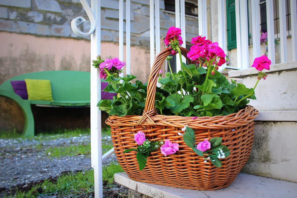 La Mia Casa Di Campagna Otel Rovieto Dış mekan fotoğraf